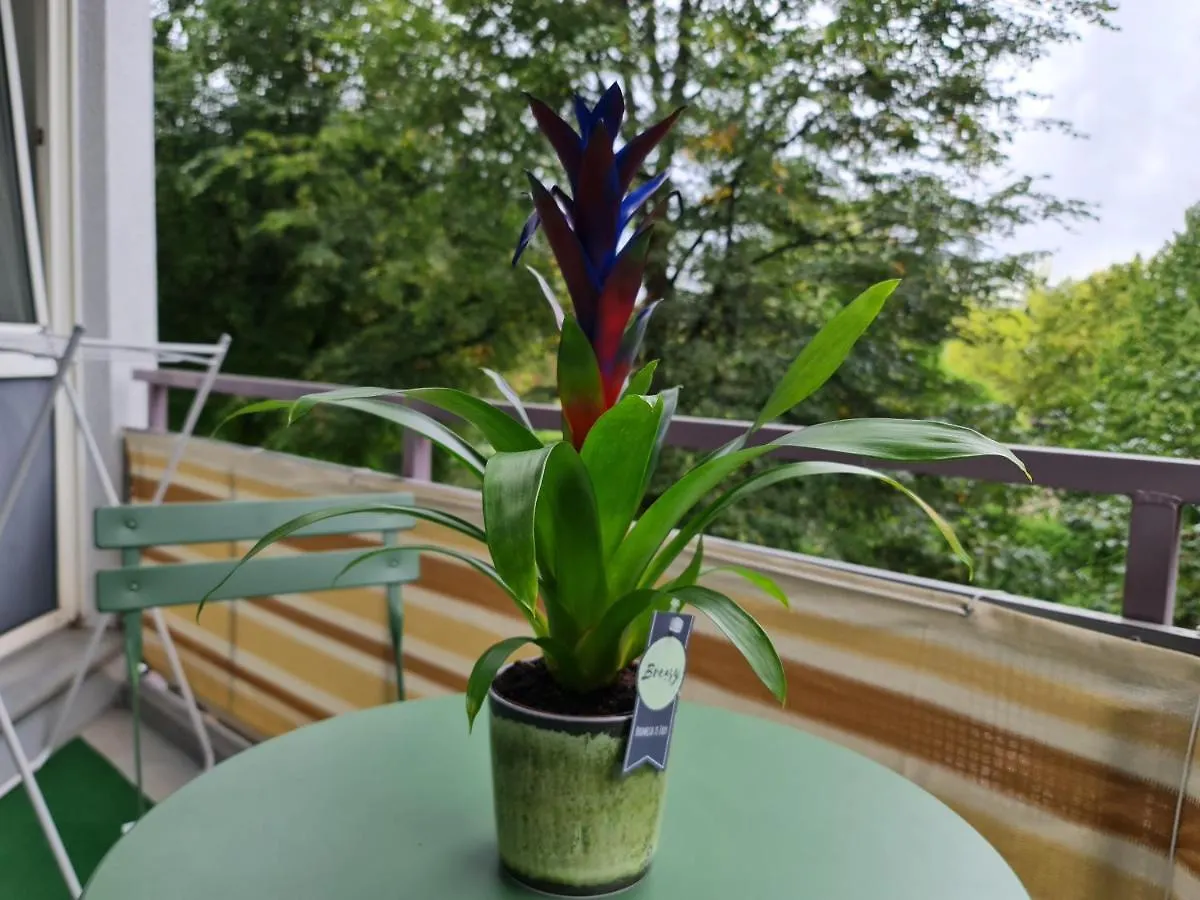 City Appartement Am Olympiapark Monaco di Baviera Germania